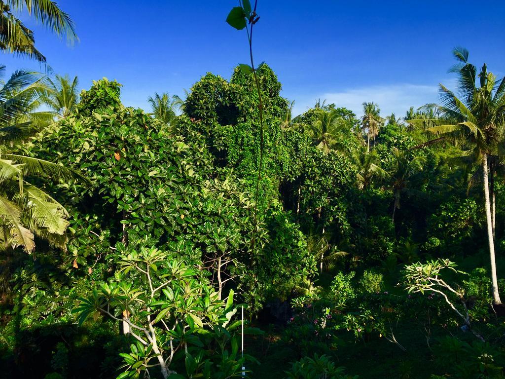 Tirta Arum Ubud Exterior foto